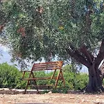 Willa Casa Palombara - Healiday In Torre Salsa *