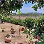 Willa Casa Palombara - Healiday In Torre Salsa *