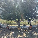 Casa Palombara - Healiday In Torre Salsa * Montallegro