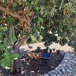 Casa Palombara - Healiday In Torre Salsa