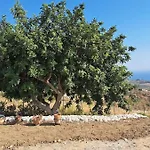 Willa Casa Palombara - Healiday In Torre Salsa Montallegro