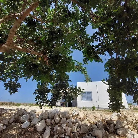 Casa Palombara - Healiday In Torre Salsa Villa