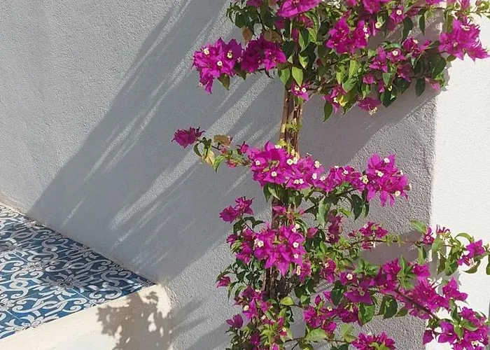 Casa Palombara - Healiday In Torre Salsa *