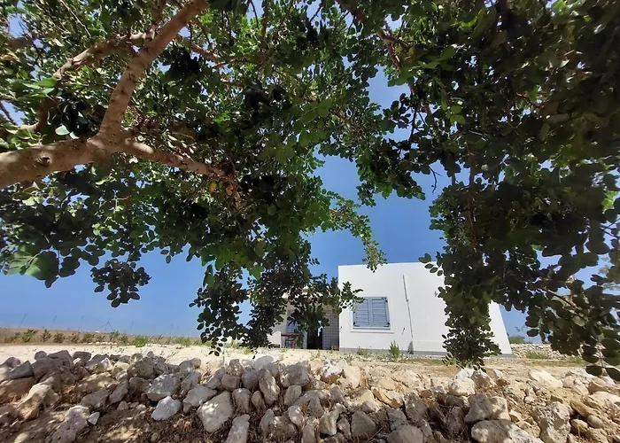Casa Palombara - Healiday In Torre Salsa Villa