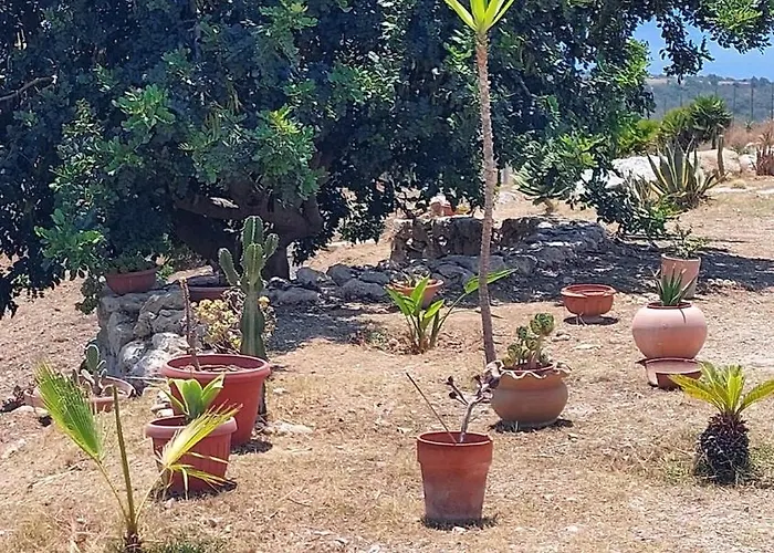 Villa Casa Palombara - Healiday In Torre Salsa