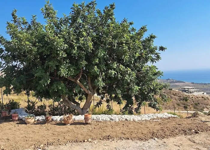 Villa Casa Palombara - Healiday In Torre Salsa Montallegro
